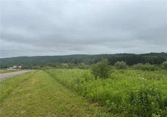1st image of Vl Lot 2 County Route 46, Dansville, NY 14437 | MLS# R1696021