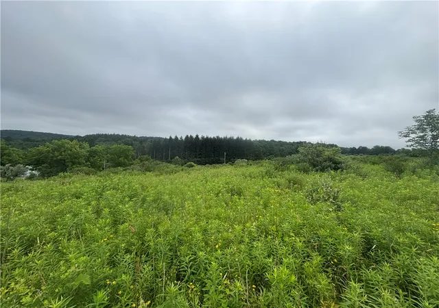 4th image of Vl Lot 2 County Route 46, Dansville, NY 14437 | MLS# R1696021