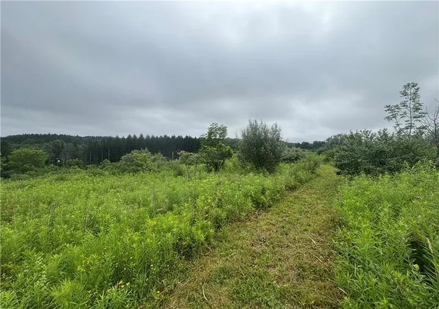 5th image of Vl Lot 2 County Route 46, Dansville, NY 14437 | MLS# R1696021