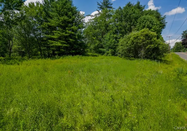 Homes for sale in Schuyler, NY | 369 Windfall Rd, Schuyler, NY 13340 | MLS# S1696407