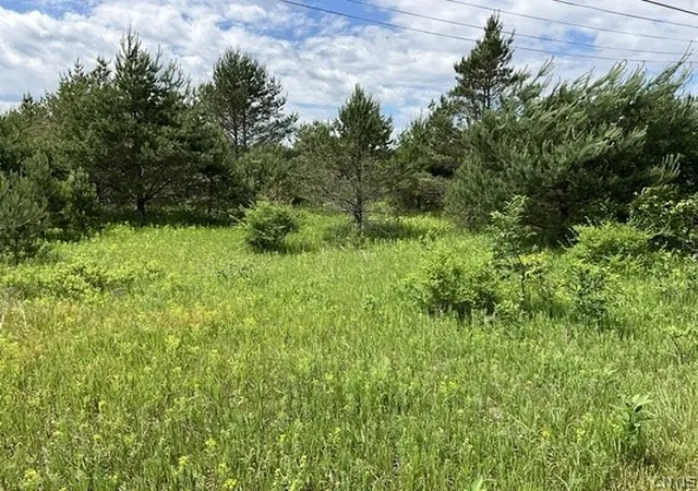 3rd image of Rt-812, Pitcairn, NY 13648 | MLS# S1693055