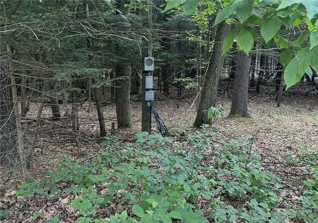 2nd image of Deer Path, Stamford, NY 12167 | MLS# R1695825