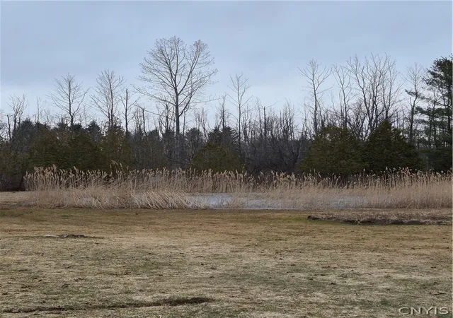 Homes for sale in Westmoreland, NY | 5620 Jenkins Rd, Westmoreland, NY 13440 | MLS# S1696586
