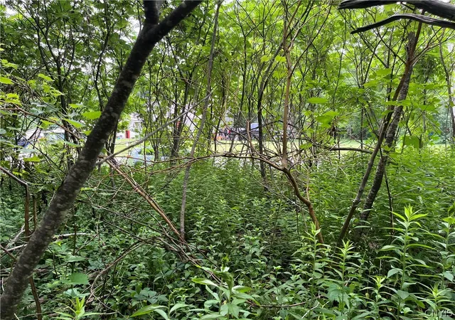 Photo 3 of Land for sale at 0 State Route 3, Carthage, NY 13619 | MLS# S1696447 | Listing updated on 2026-07-14