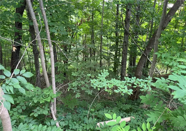 Photo 4 of Land for sale at 0 State Route 3, Carthage, NY 13619 | MLS# S1696447 | Listing updated on 2026-07-14