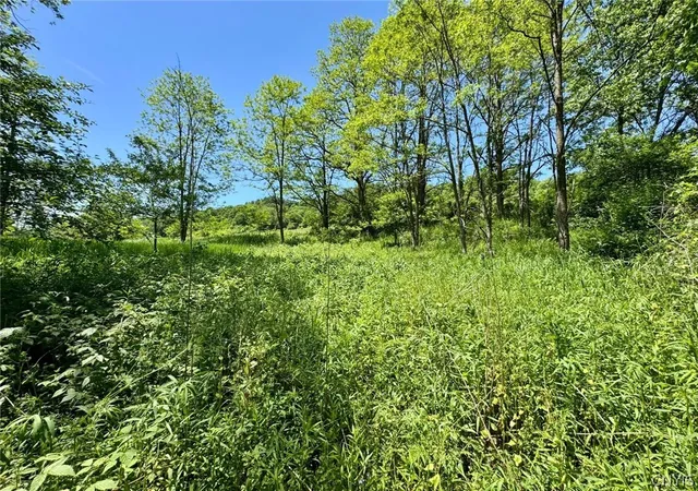 Homes for sale in Taylor, NY | Route 26, Taylor, NY 13040 | MLS# S1696020