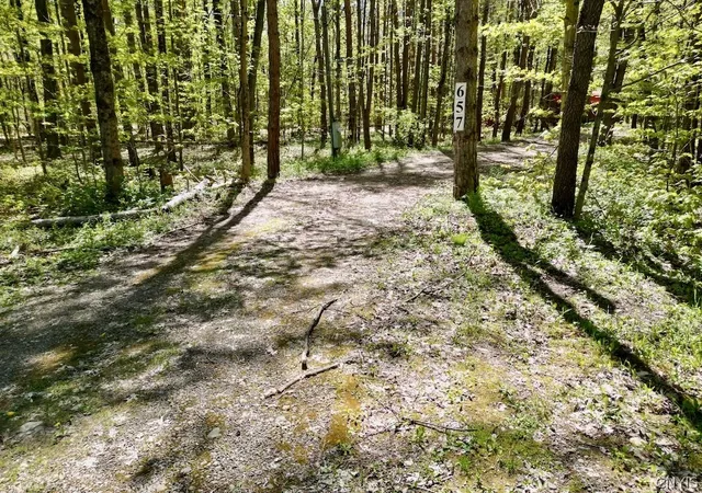 2nd image of 657 County Route 48, Altmar, NY 13302 | MLS# S1695604