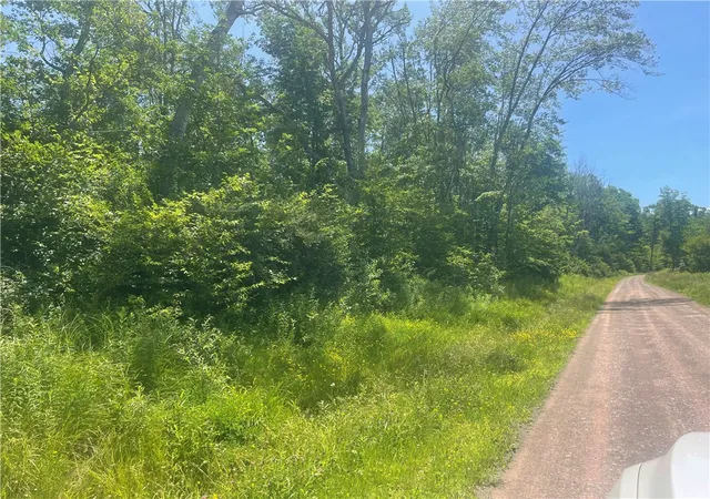 3rd image of Schlafer Rd, Guilford, NY 13780 | MLS# R1695326
