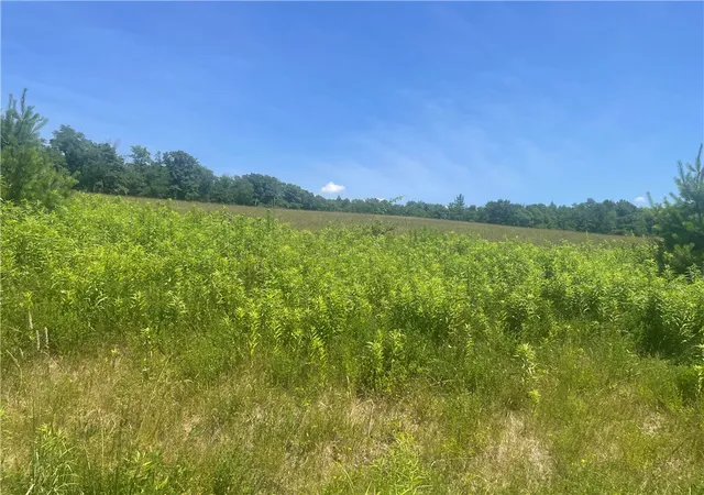 4th image of Schlafer Rd, Guilford, NY 13780 | MLS# R1695326
