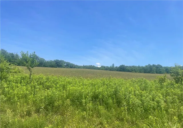 6th image of Schlafer Rd, Guilford, NY 13780 | MLS# R1695326
