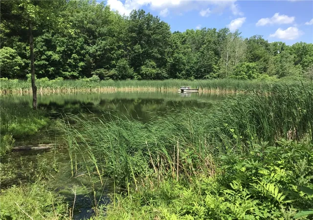 12th image of 10695 Sandy Hill Rd, Dansville, NY 14437 | MLS# R1697070