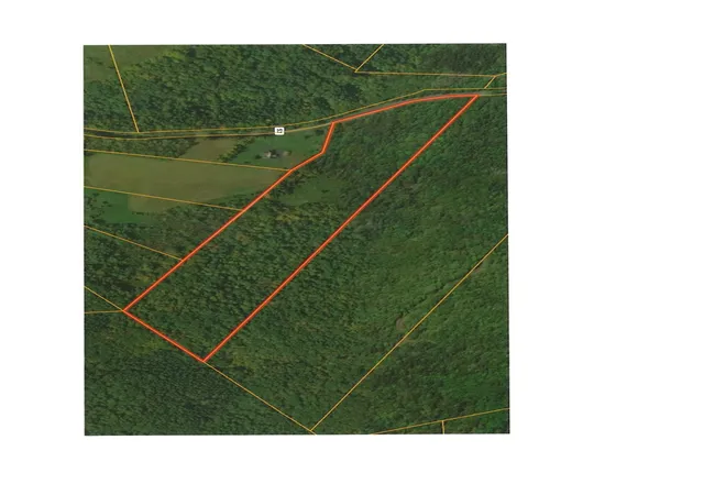 10th image of Guinea Rd, Middleburgh, NY 12122 | MLS# R1696582