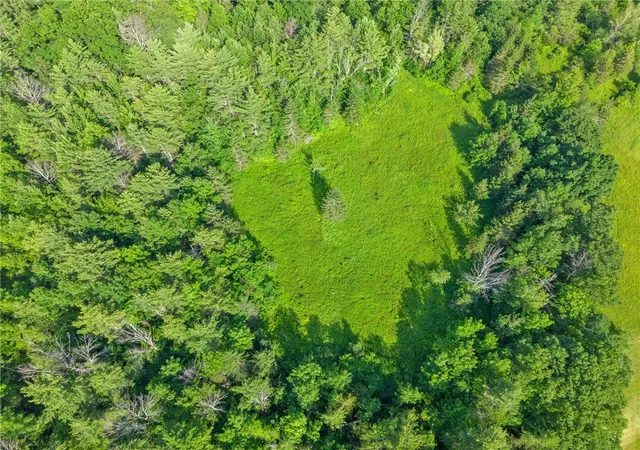2nd image of Guinea Rd, Middleburgh, NY 12122 | MLS# R1696582