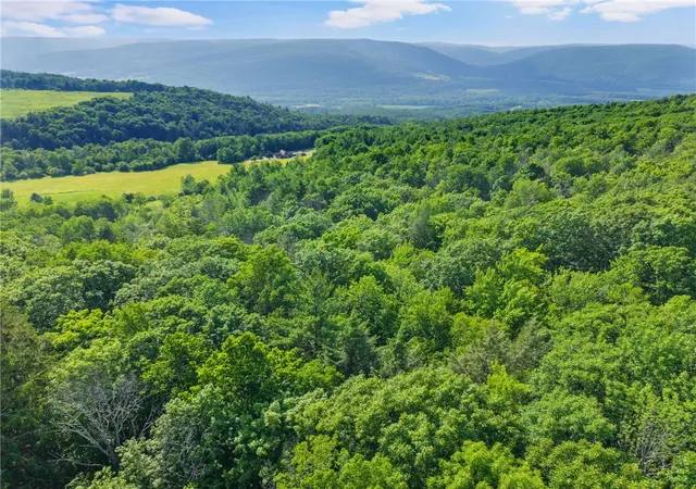 3rd image of Guinea Rd, Middleburgh, NY 12122 | MLS# R1696582