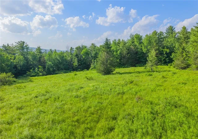 5th image of Guinea Rd, Middleburgh, NY 12122 | MLS# R1696582