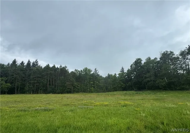 Homes for sale in Alexander, NY | 2630 Attica Rd, Alexander, NY 14005 | MLS# B1693647