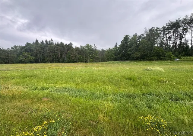 Homes for sale in Alexander, NY | 2630 Attica Rd, Alexander, NY 14005 | MLS# B1693647