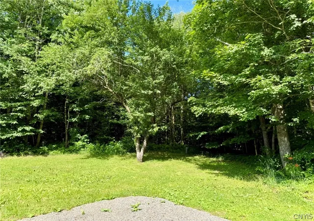 Homes for sale in Lewis, NY | 631 Witzigman Rd, Lewis, NY 13489 | MLS# S1696809