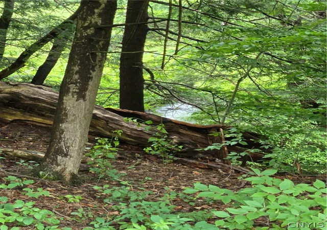 Photo 5 of Land for sale at 3988 State Route 20, Morrisville, NY 13408 | MLS# S1696356 | Listing updated on 2026-07-27