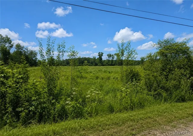 3rd image of Tonawanda Creek Rd, Lockport, NY 14094 | MLS# B1697366