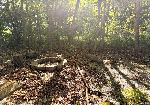 Homes for sale in Orleans, NY | 20169 County Route 181, Orleans, NY 13656 | MLS# S1697183