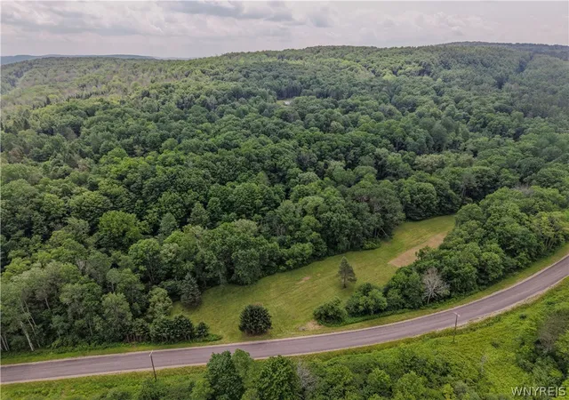 Homes for sale in Machias, NY | 3137 Bear Creek Rd, Machias, NY 14737 | MLS# B1697392