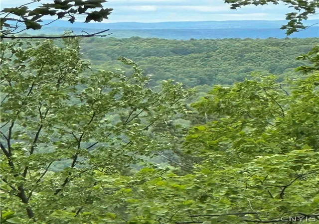 1st image of 1501 Old State Rd, Colesville, NY 13904 | MLS# S1697462