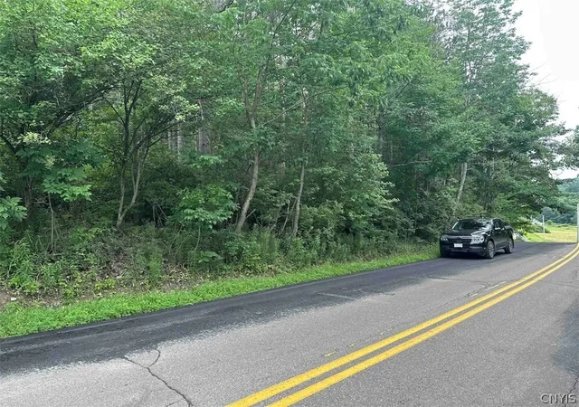 28th image of 1501 Old State Rd, Colesville, NY 13904 | MLS# S1697462