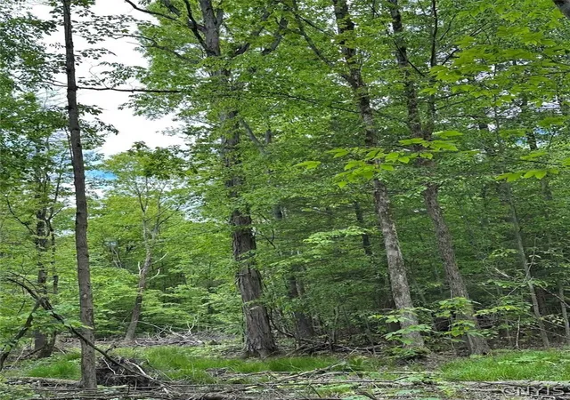 3rd image of 1501 Old State Rd, Colesville, NY 13904 | MLS# S1697462