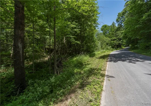 2nd image of Split Rock Rd, Hammond, NY 13646 | MLS# S1696013