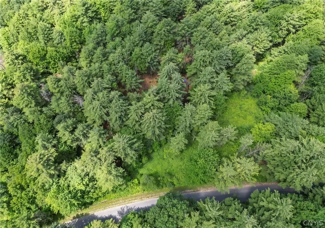 3rd image of Split Rock Rd, Hammond, NY 13646 | MLS# S1696013