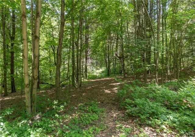 8th image of Split Rock Rd, Hammond, NY 13646 | MLS# S1696013