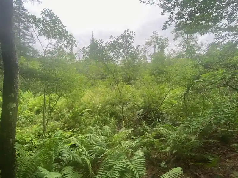 Photo 1 of Land for sale at Marsh Rd, Lindley, NY 14858 | MLS# R1696410 | Listing updated on 2026-07-15