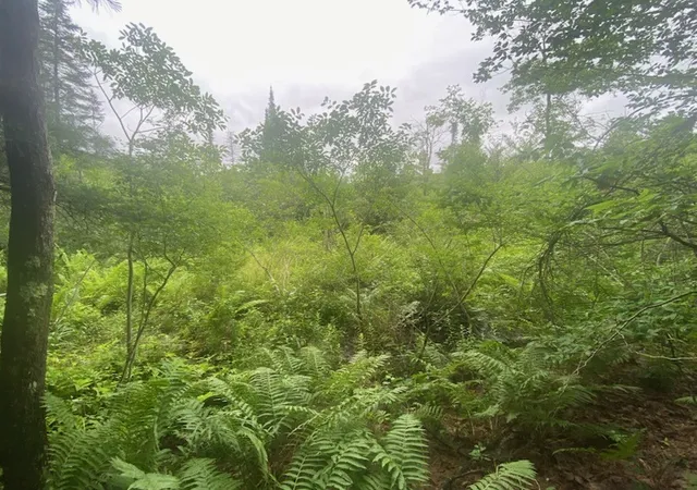 1st image of Marsh Rd, Lindley, NY 14858 | MLS# R1696410