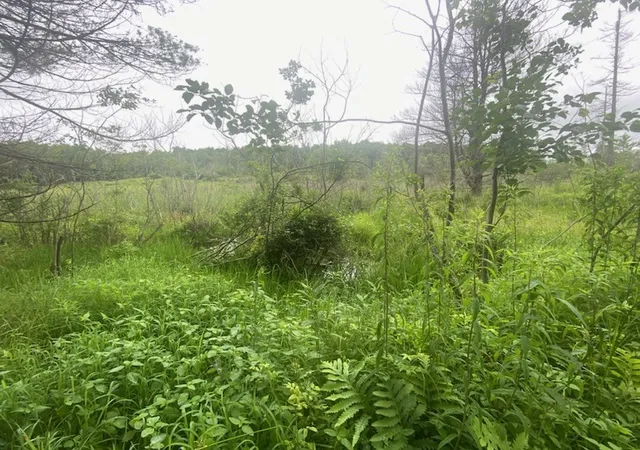2nd image of Marsh Rd, Lindley, NY 14858 | MLS# R1696410