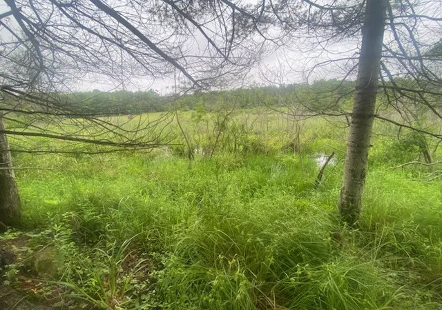 4th image of Marsh Rd, Lindley, NY 14858 | MLS# R1696410