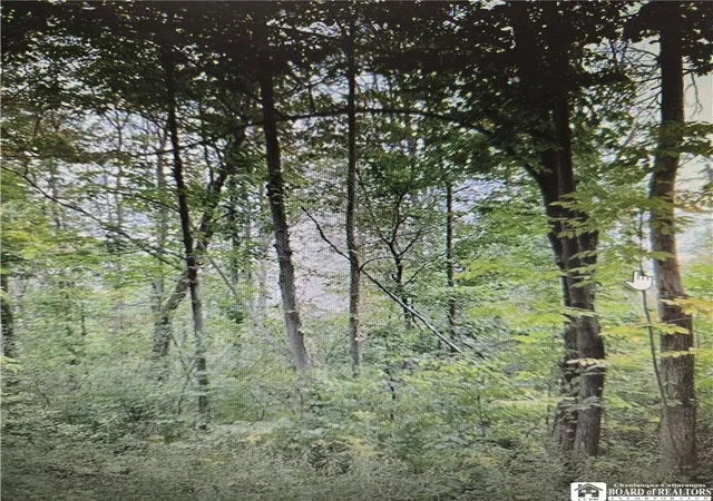 1st image of 5 W Rt 5, Portland, NY 14769 | MLS# R1697569