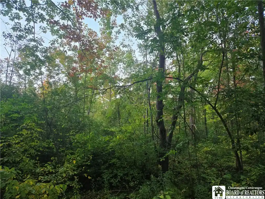 Photo 1 of Land for sale at 5 W Rt, Portland, NY 14063 | MLS# R1697569 | Listing updated on 2026-10-09