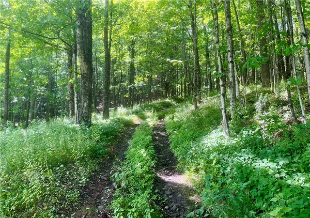 5th image of County Hwy 26, Otsego, NY 13337 | MLS# R1697125