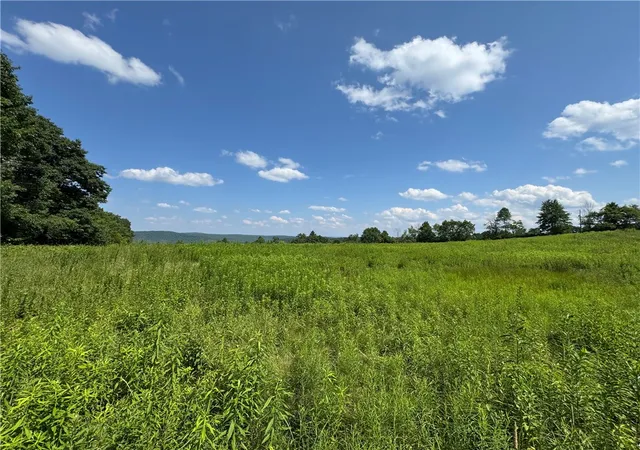 1st image of Wilbur Hill Rd, Butternuts, NY 13776 | MLS# R1697099