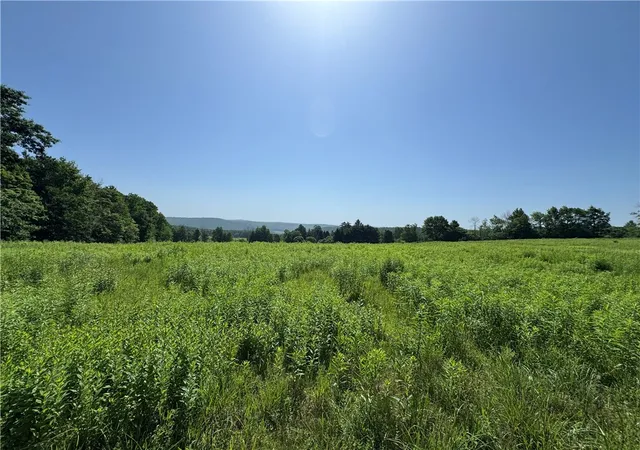 2nd image of Wilbur Hill Rd, Butternuts, NY 13776 | MLS# R1697099