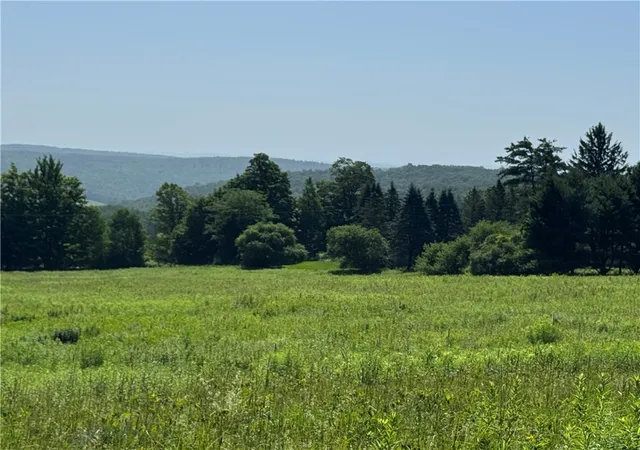 3rd image of Wilbur Hill Rd, Butternuts, NY 13776 | MLS# R1697099