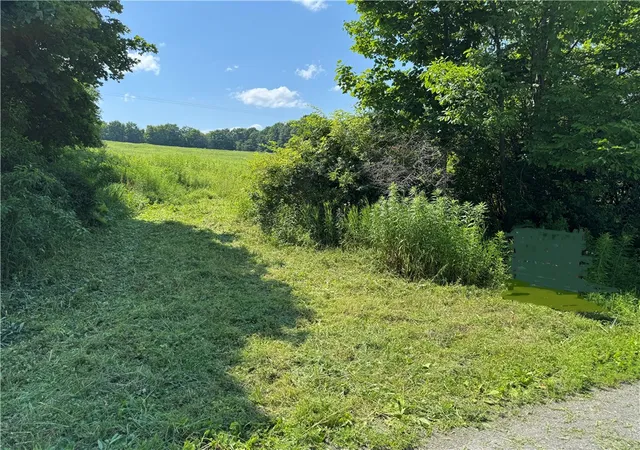 4th image of Wilbur Hill Rd, Butternuts, NY 13776 | MLS# R1697099