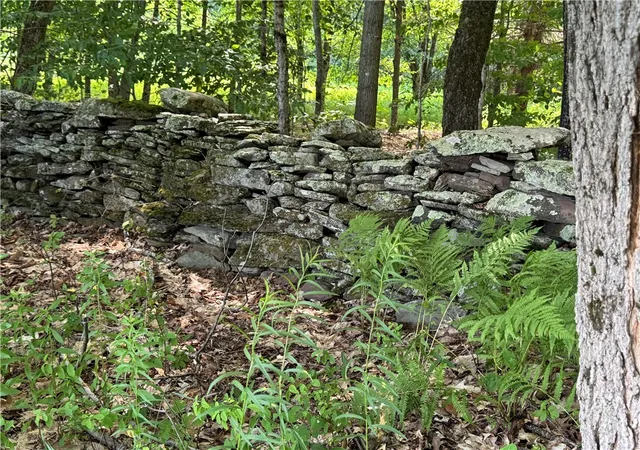 5th image of Wilbur Hill Rd, Butternuts, NY 13776 | MLS# R1697099