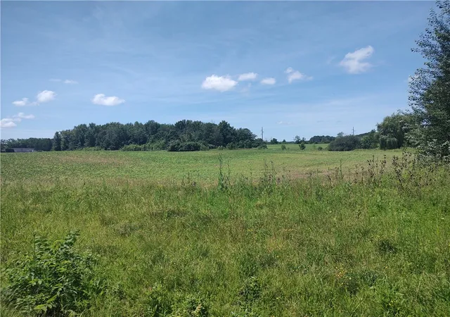 Homes for sale in Seneca Falls, NY | Route 5 & 20, Seneca Falls, NY 13148 | MLS# R1696842