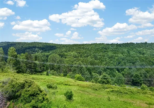 39th image of 118 Lookout Dr, Summit, NY 12036 | MLS# R1695709