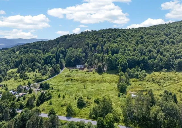 Homes for sale in Summit, NY | 118 Lookout Dr, Summit, NY 12036 | MLS# R1695709
