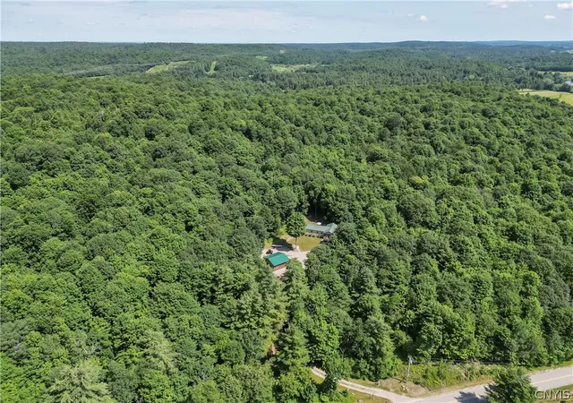 42nd image of 181 Bancroft Rd, Fowler, NY 13635 | MLS# S1696953