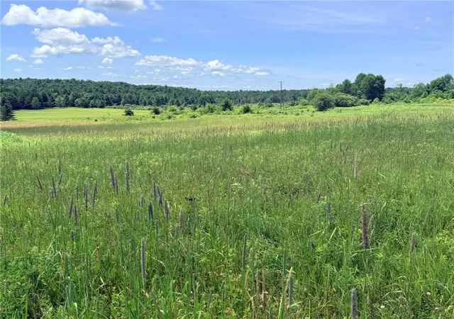 1st image of L19 N Pond Rd, Guilford, NY 13780 | MLS# R1697946