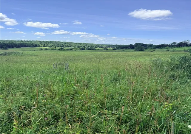 2nd image of L19 N Pond Rd, Guilford, NY 13780 | MLS# R1697946